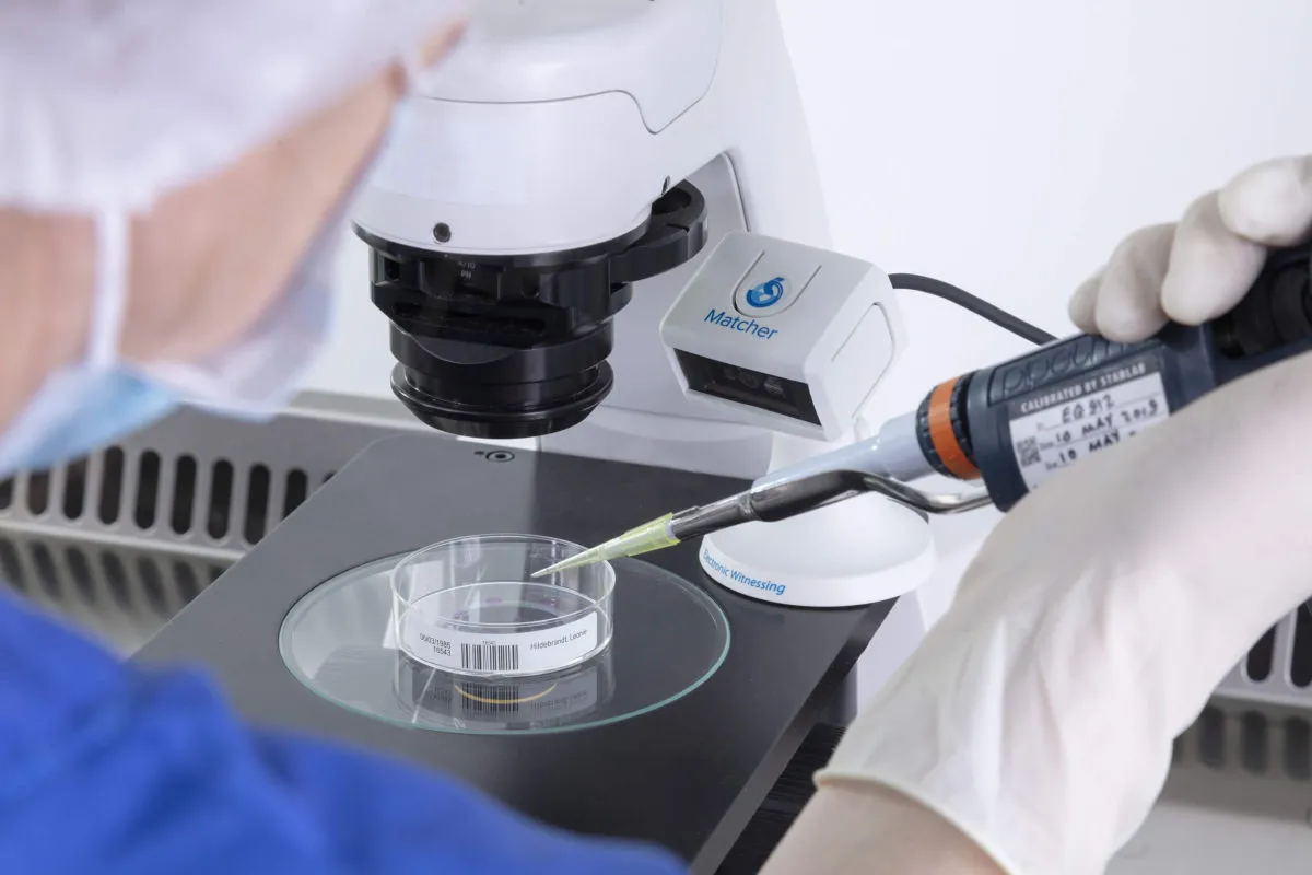 Electronic witnessing process